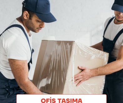 ofis-taşıma